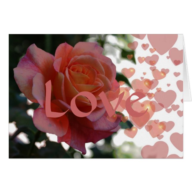 AMOUR (Devant horizontal)