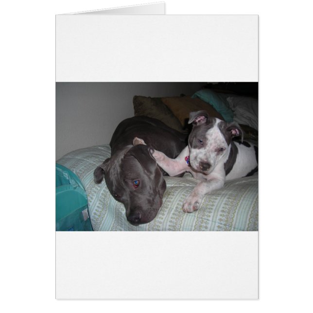 amour, amour, amour (Devant)