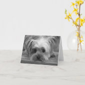 Amour Chien Yorkshire Terrier Chien Chiot Carte si (Fleur jaune)