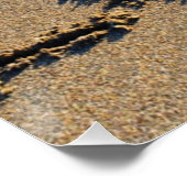 Amour dans le sable écrit Poster (Coin)