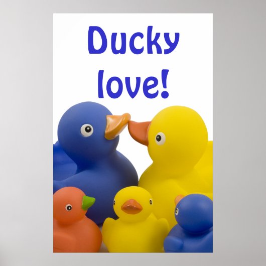 Amour de canard - affiche (Devant)