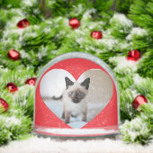 Amour de chat (Noël)