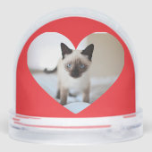 Amour de chat (Arrière)