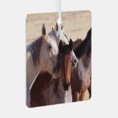 Amour de famille sauvage, Ornement (Avant droite)