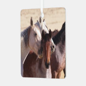 Amour de famille sauvage, Ornement (Avant gauche)