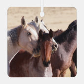 Amour de famille sauvage, Ornement (Verso)