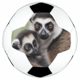 **"Amour de la mère : Mummy and Baby Lemur Cuddlin