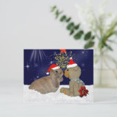 Amour de lapin à la carte postale de Noël (Debout devant)