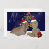 Amour de lapin à la carte postale de Noël (Devant / Derrière)