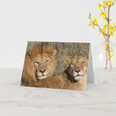 Amour de lion - carte (Fleur jaune)