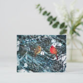 Amour d'hiver, carte postale (Debout devant)