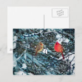 Amour d'hiver, carte postale (Devant / Derrière)