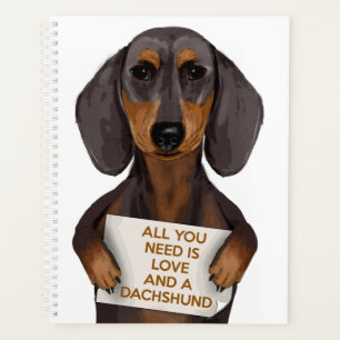 Amour et Dachshund