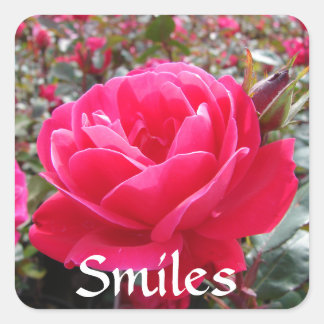 Amour et Romance sourit Stickers Rose Love Rose ro