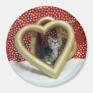 Amour, Lilo - Chat Coeur / Aimant Kitten