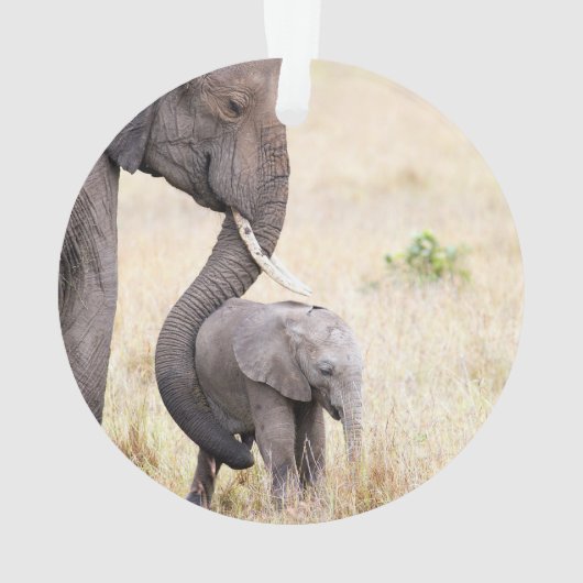 Amour maternel (dos)