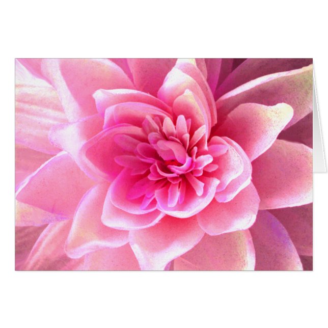 Amour & Passion_ (Devant horizontal)