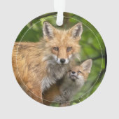 Amour Pour Père (dos)