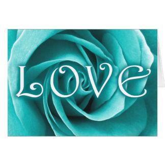 AMOUR : rose :