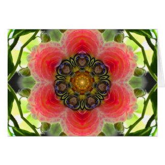 Amour sur le mandala de fleur de vigne