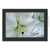 Amour sur un lys calla (Devant horizontal)