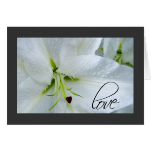 Amour sur un lys calla
