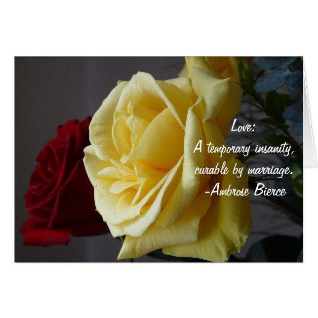 Amour : Une folie provisoire… (Devant horizontal)