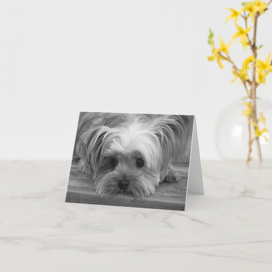 Amour Yorkshire Terrier Chien Chiot Carte Vierge (Fleur jaune)