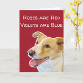 Amoureux de chiens amusants jolie carte Saint Vale (Fleur jaune)
