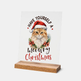 Amoureux de les chats de Noël festifs