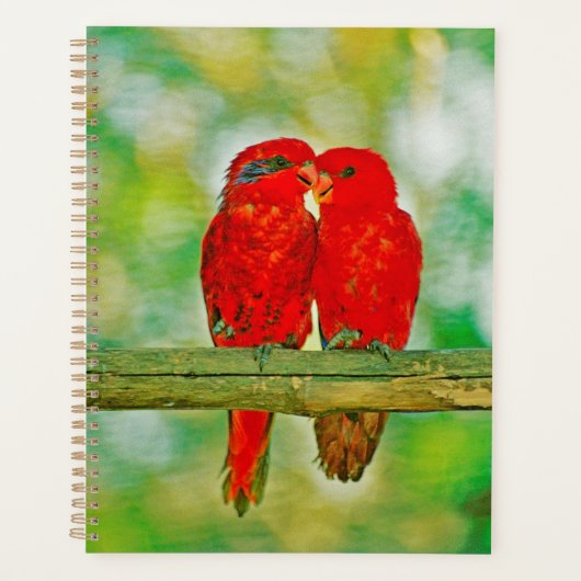 Amoureux de planner (Devant)
