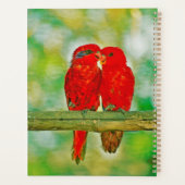 Amoureux de planner (Dos)