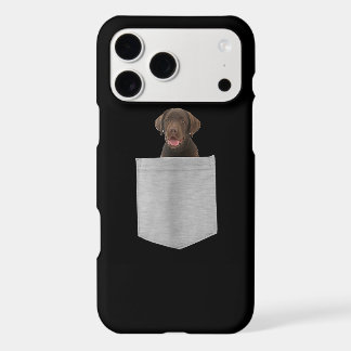 Amoureux des chiens | Chocolat Labrador Puppy in P