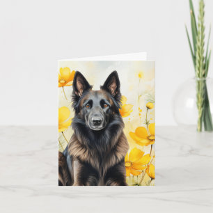Amoureux du chien Tervuren belge et coquelicots