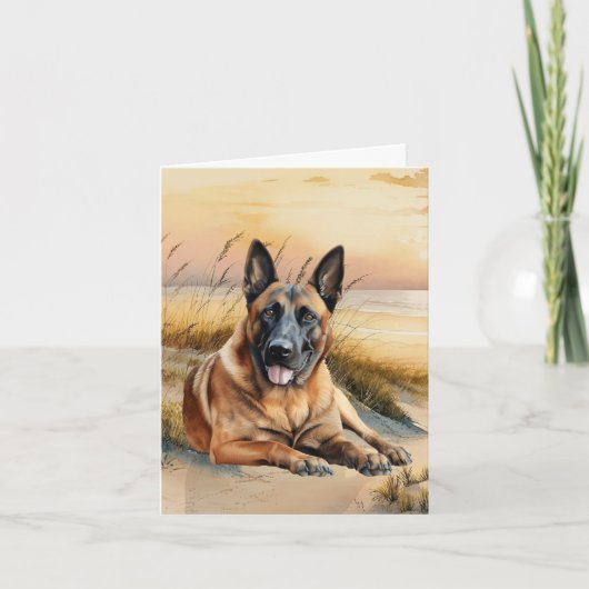 Amoureux du Malinois belge Plage de sable (Devant)