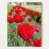 Ampoules d'échappement, gros plan (Dos)