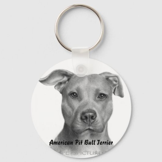 AMPT-sleutelketen Sleutelhanger (Voorkant)