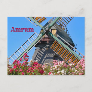 Amrum Windmill, Nebel, Nordfriesland, Duitsland Briefkaart