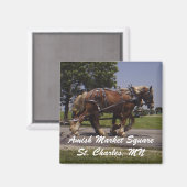 AMS MAGNEET (Voorkant / Achterkant)