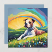 Amstaff Amerikaanse Staffordshire Terrier Regenboo (Voorkant / Achterkant)