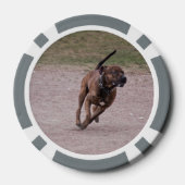 Amstaff running pokerchips (Achterkant)
