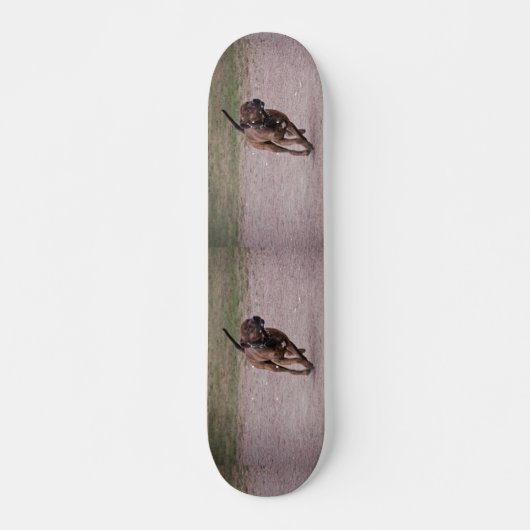 Amstaff running skateboard (Voorkant)