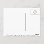 Amsterdam bloemen briefkaart (Achterkant)