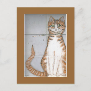 Amsterdam Cat Briefkaart