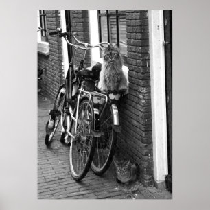 Amsterdam Cats on Bicycles Black & White Photo Poster
