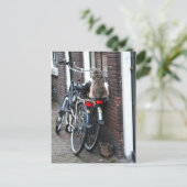 Amsterdam katten op fietsen briefkaart (Staand voorkant)
