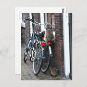 Amsterdam katten op fietsen briefkaart (Voorkant / Achterkant)