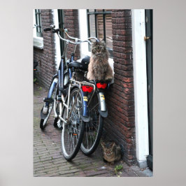 Amsterdam katten op fietsen Foto Poster
