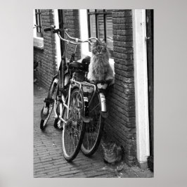 Amsterdam katten op fietsen Zwart-wit foto Poster