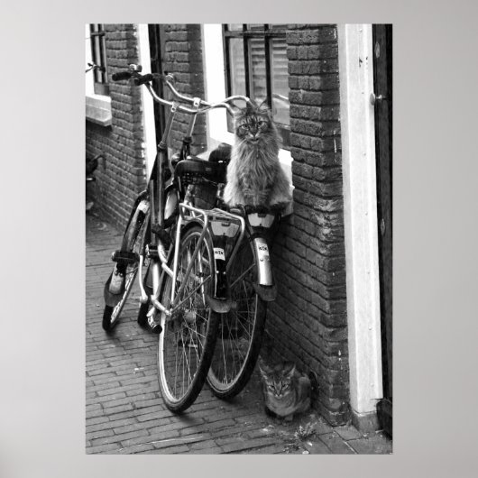 Amsterdam katten op fietsen Zwart-wit foto Poster (Voorkant)